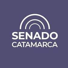 El Senado pide a EC SAPEM exceptuar la escritura para acceder al servicio de energía