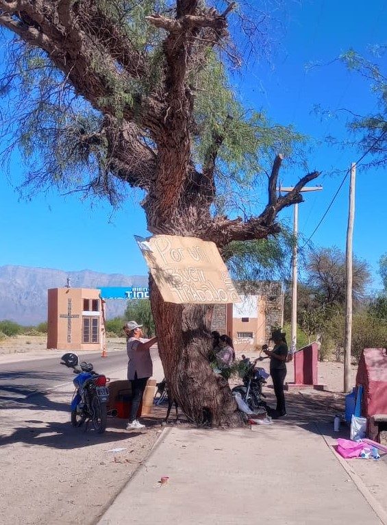 NUEVAMENTE LOS BECADOS EN LA RUTA
