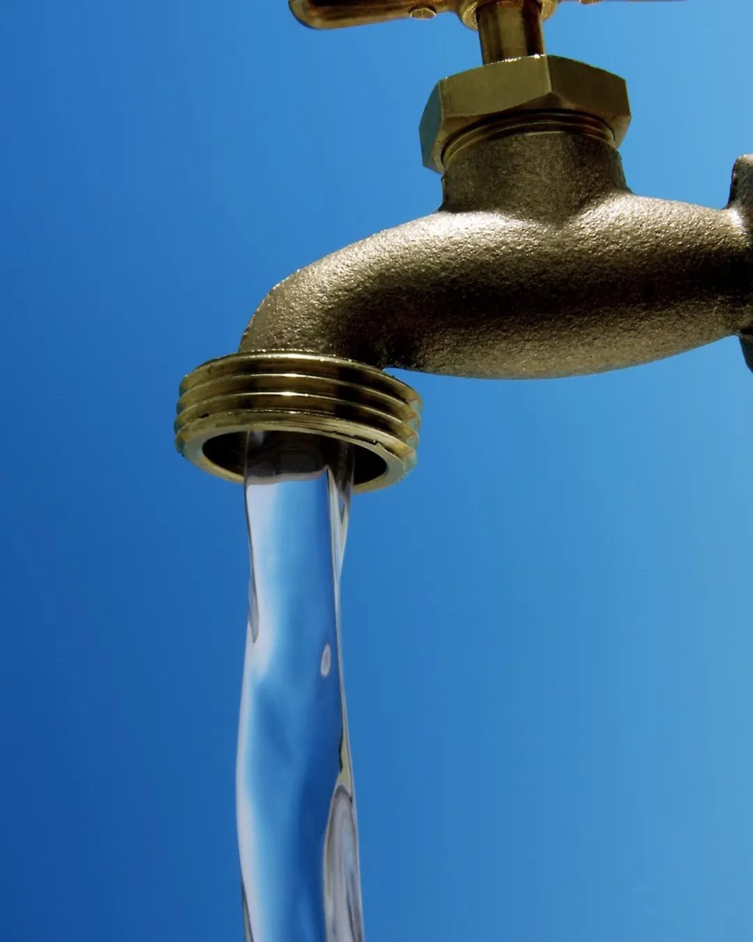 𝗕𝗨𝗘𝗡𝗔𝗦 𝗡𝗢𝗧𝗜𝗖𝗜𝗔𝗦