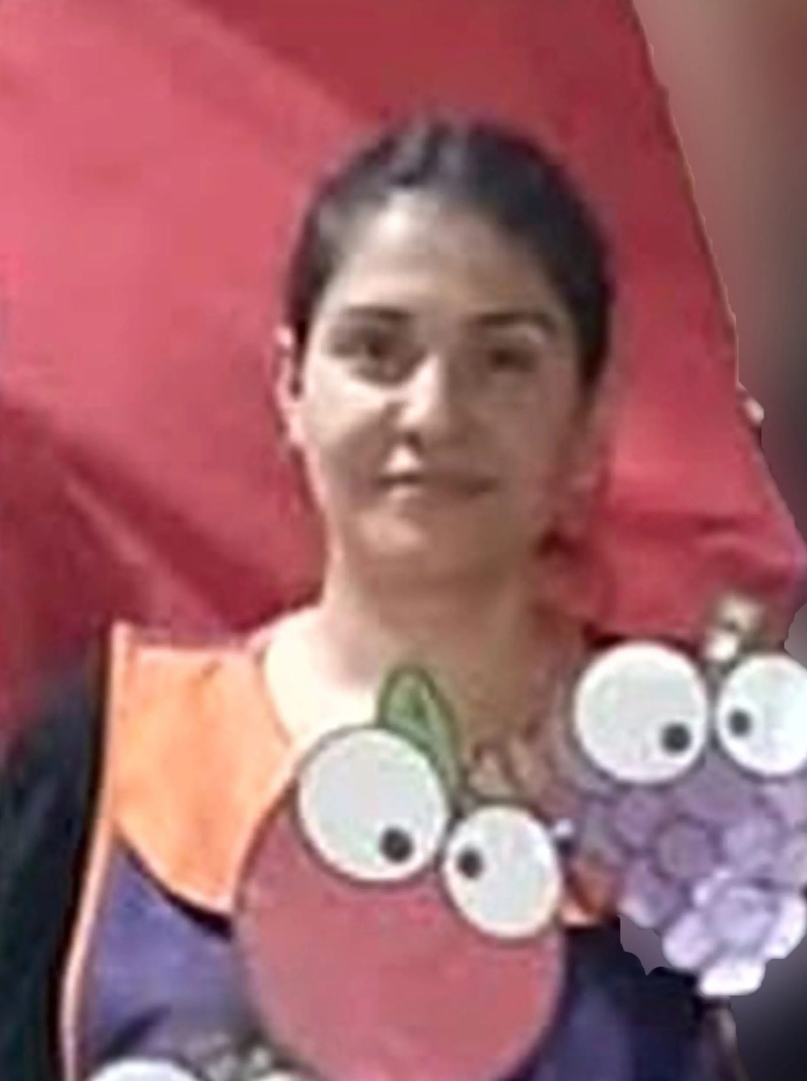 Avanza la causa por la muerte de Mailén: se presentaron dos adolescentes y ordenan pericias clave