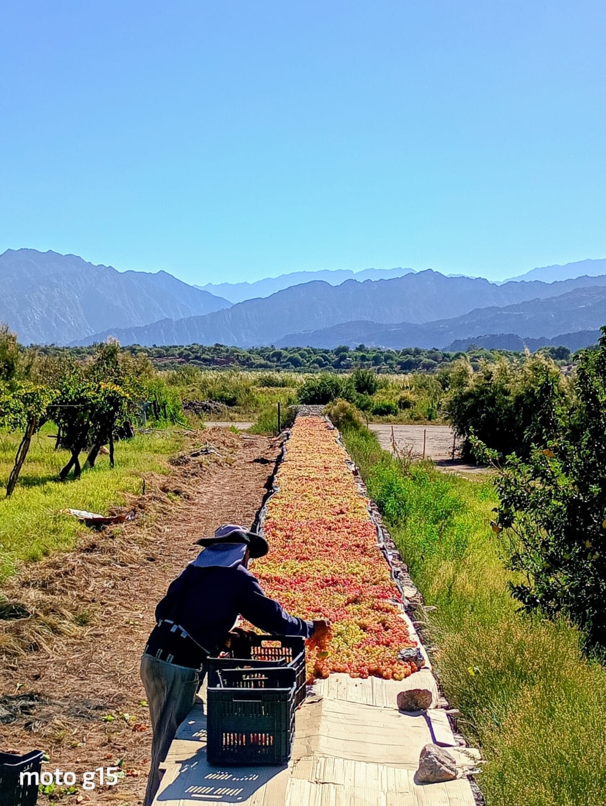 El motor del interior.